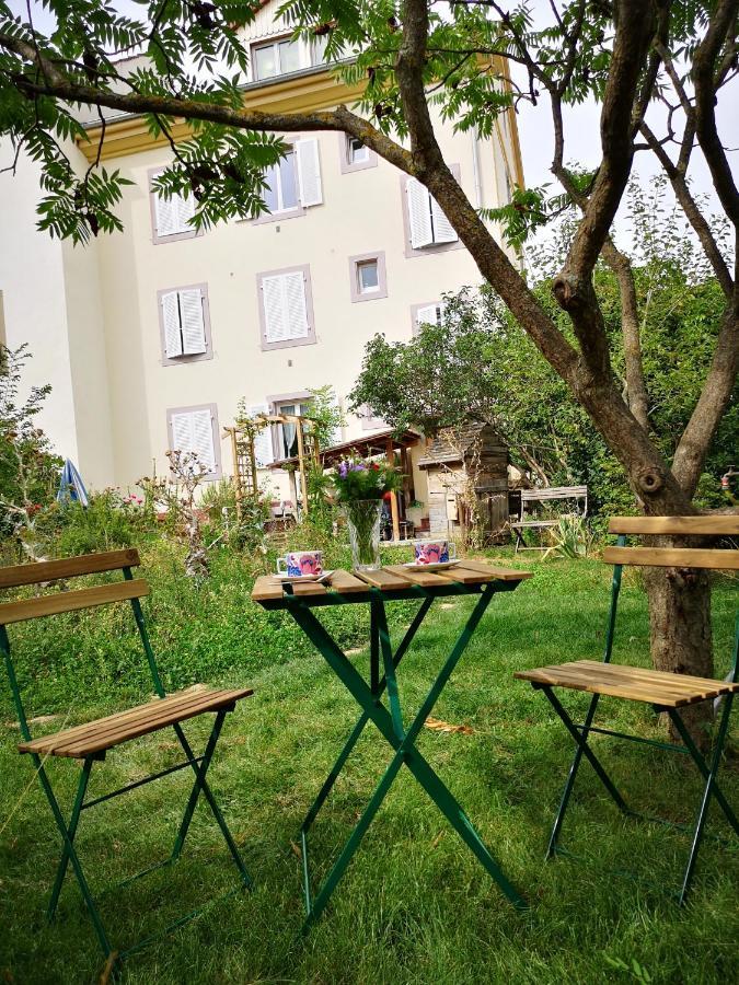 Combles et Vous, Duplex T6 Colmar, Famille, ALL INCLUSIVE, Jardin&Parking vélos Extérieur photo