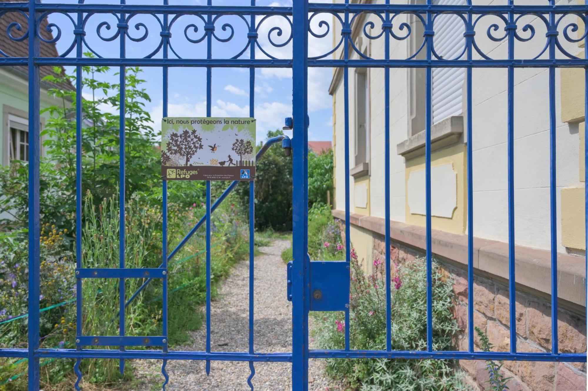 Combles et Vous, Duplex T6 Colmar, Famille, ALL INCLUSIVE, Jardin&Parking vélos Extérieur photo