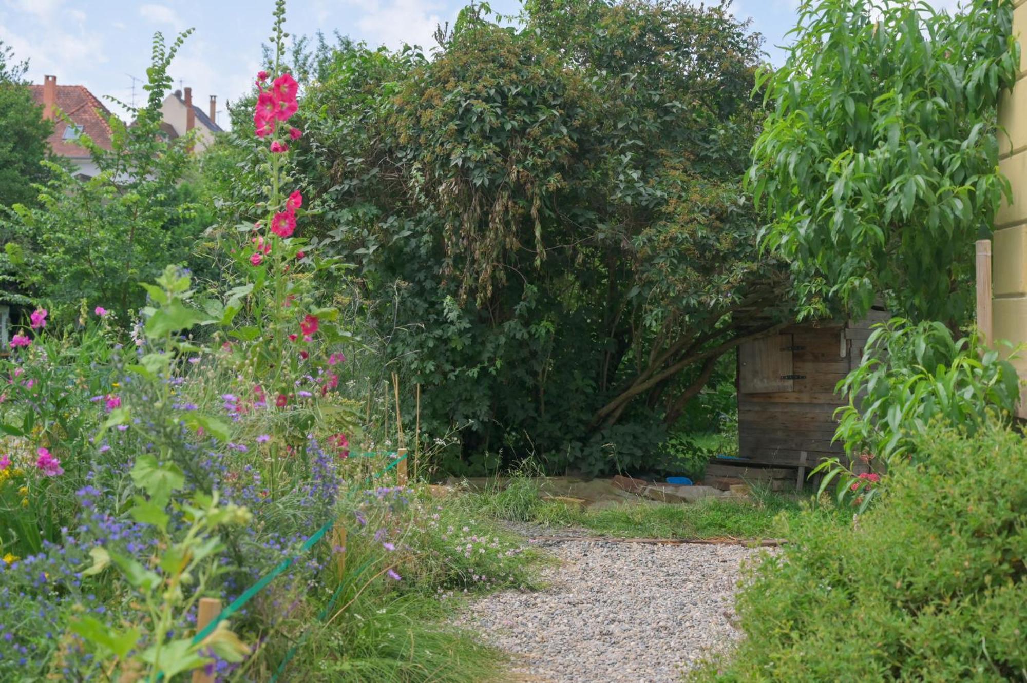Combles et Vous, Duplex T6 Colmar, Famille, ALL INCLUSIVE, Jardin&Parking vélos Extérieur photo